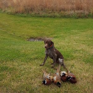 Meet your Posher, Tracey